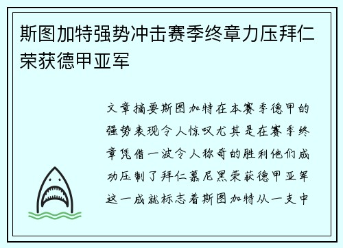 斯图加特强势冲击赛季终章力压拜仁荣获德甲亚军